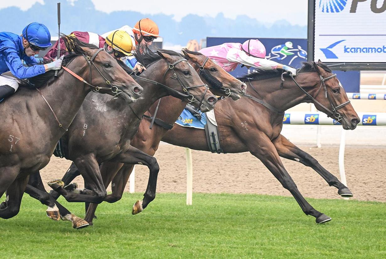 TOUGH FILLY HOLDS OFF ALL CHALLENGERS
